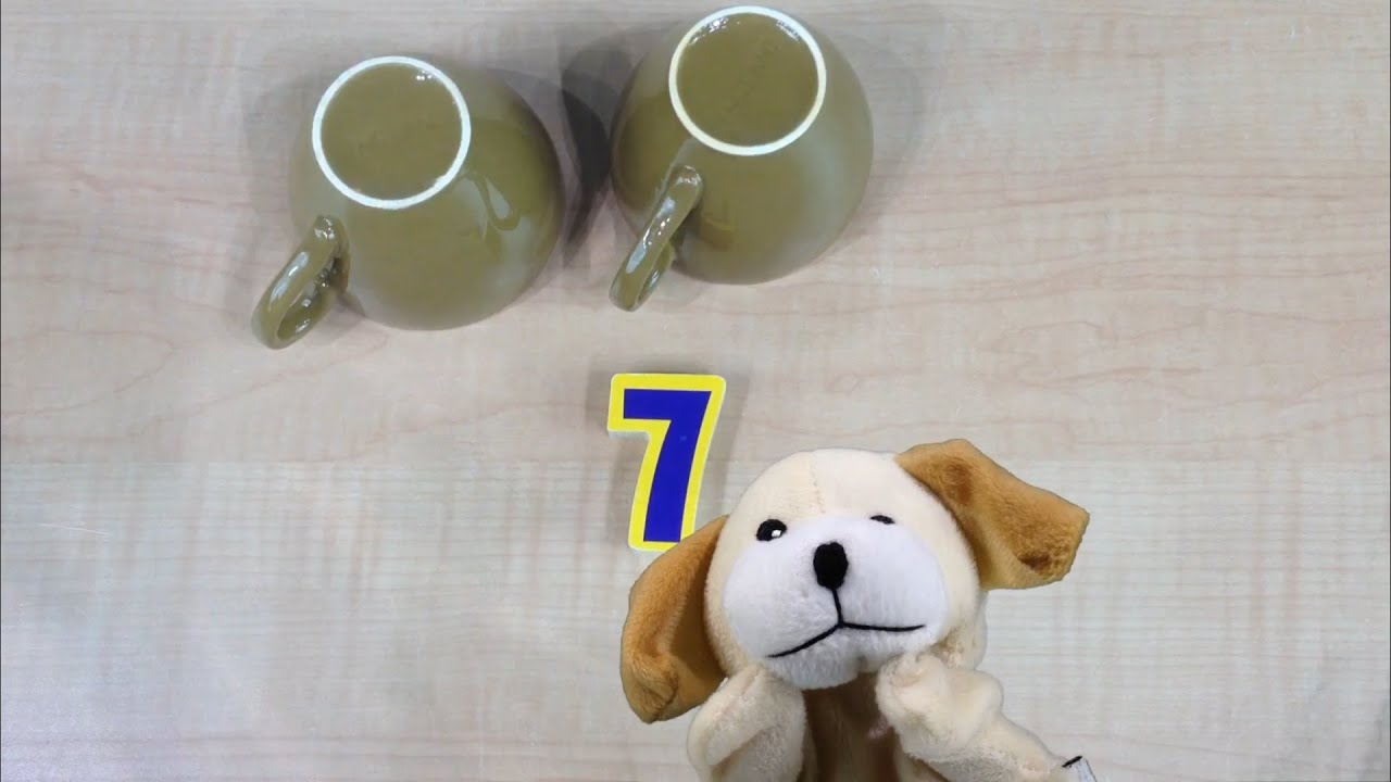 Excite Dog Plays Shell Game with the Number 7