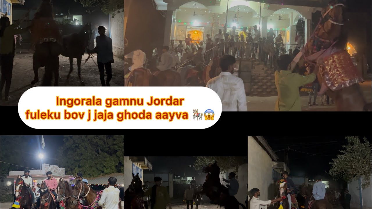 Ingorala gamnu Jordar fuleku bov jaja ghoda aayva part 2 🎠😱