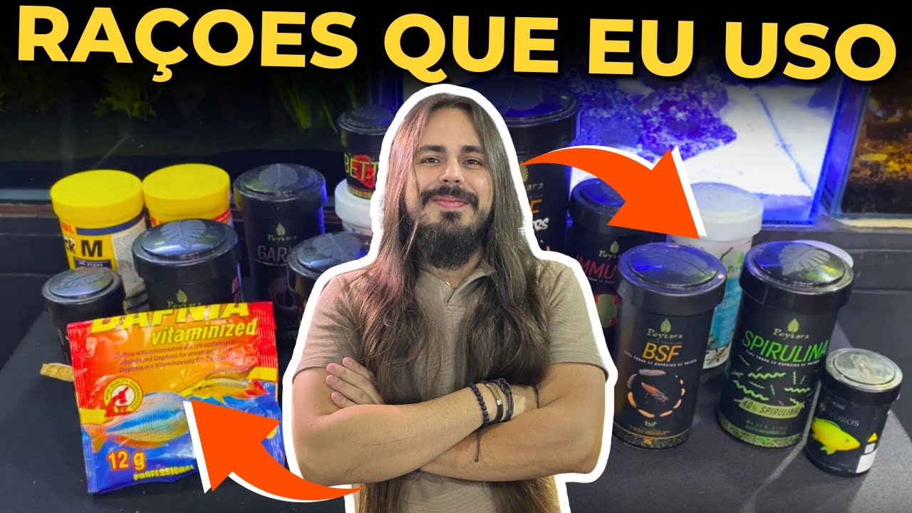 🔴AS MELHORES RAÇÕES QUE RECOMENDO |Mr. Betta|