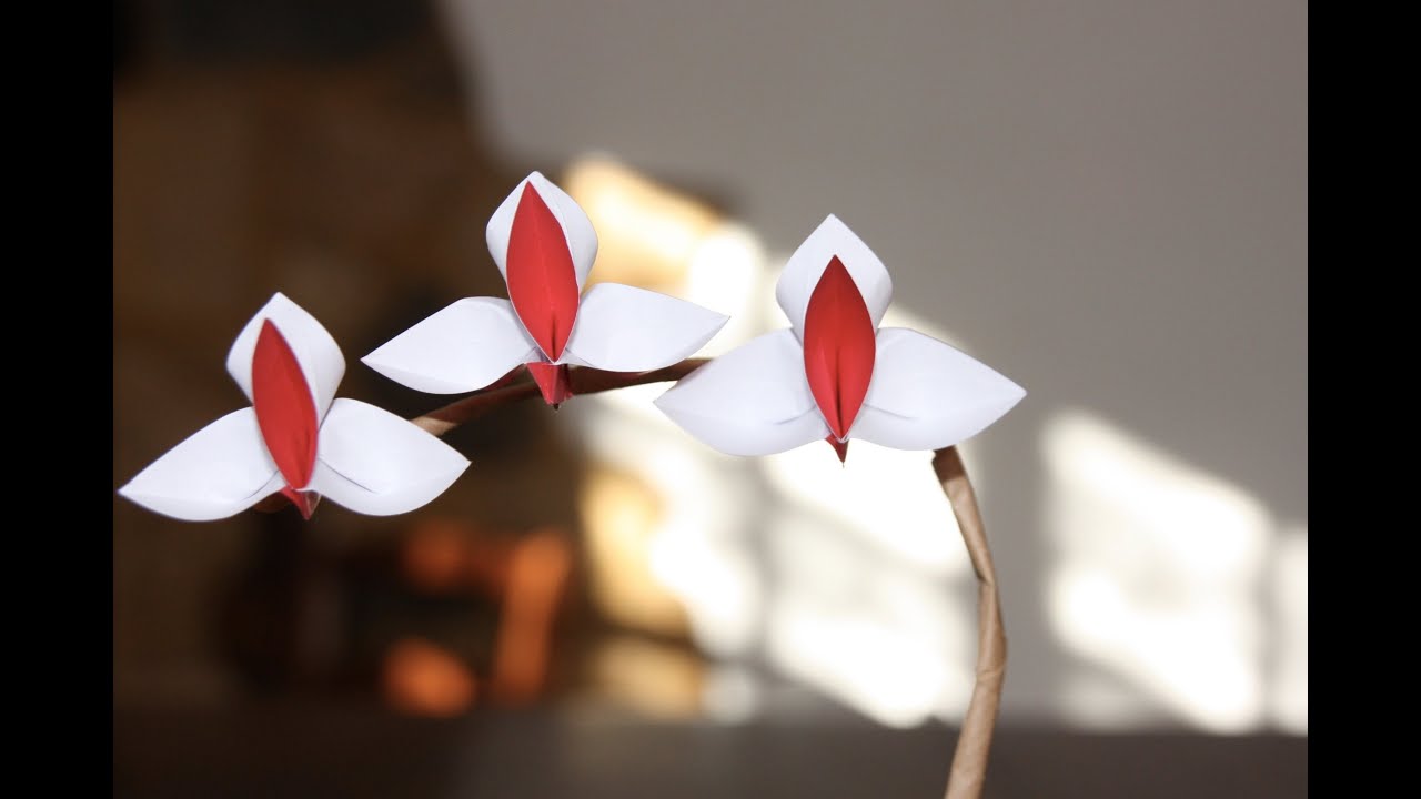 Origami tutorial - Orchid