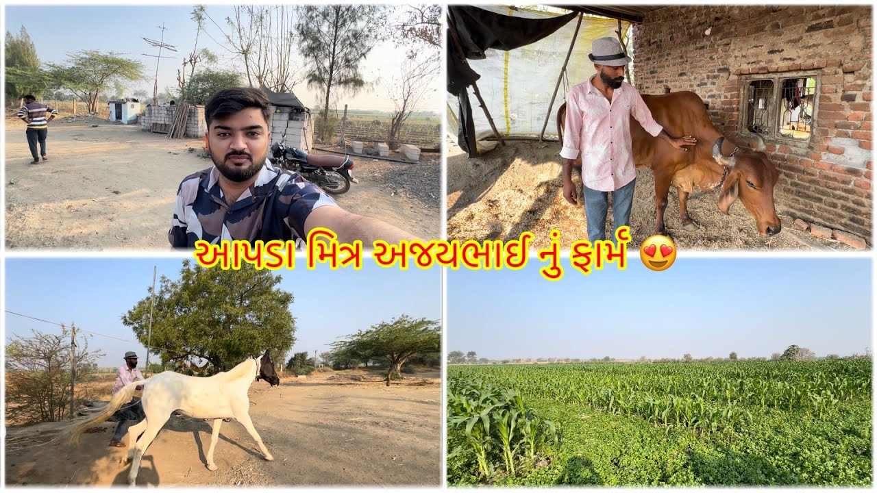 ગામડાની સવાર અને મિત્રનું ફાર્મ 😍 | Full Day Vlog