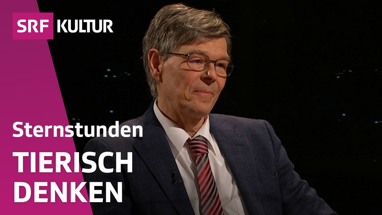 Den Geist der Tiere verstehen – aber wie? | Sternstunde Philosophie | SRF Kultur
