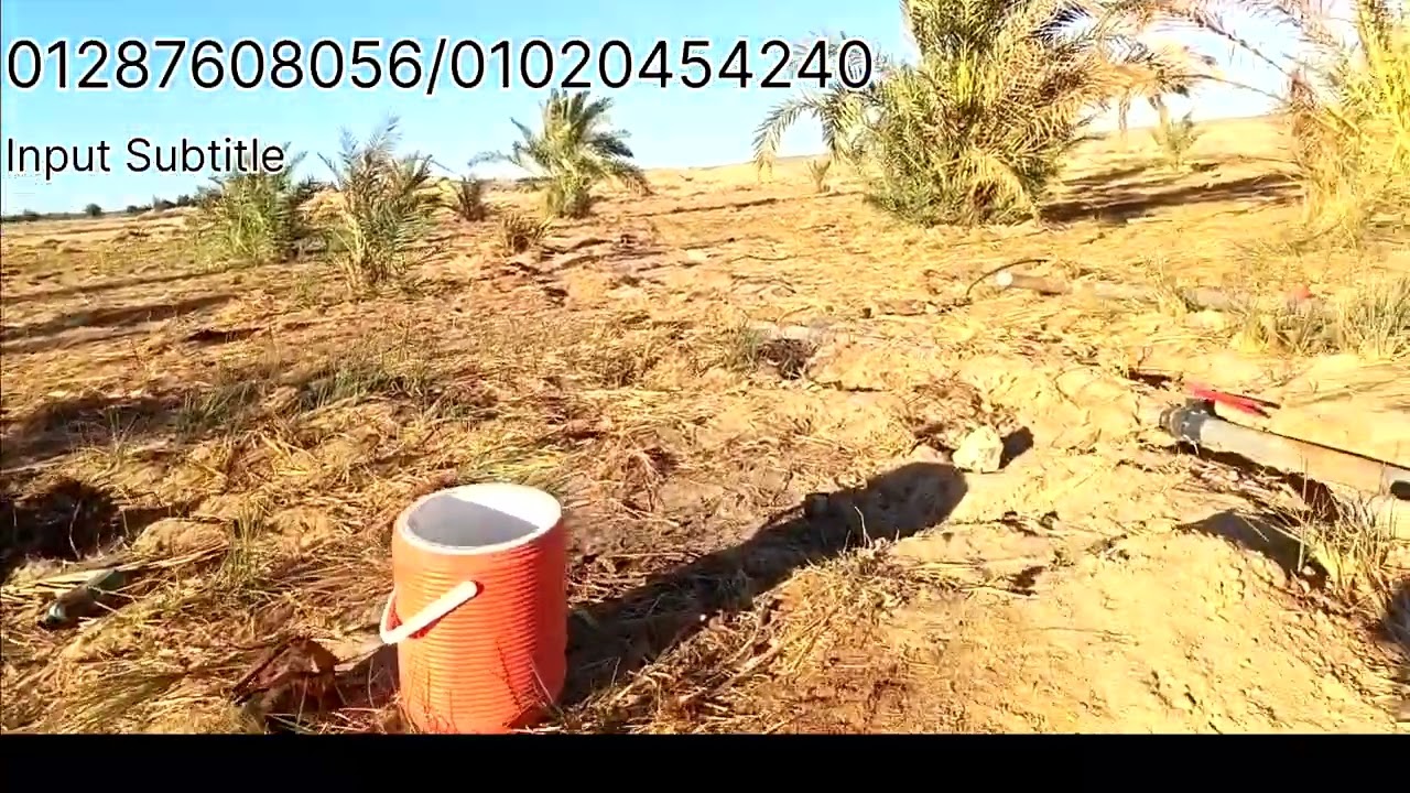 دي فعلا هديه رمضان 💥مزرعه 16فدان مملكه من الدوله 💯نخل منتج 🌴🌴ب165الف🫰لقطه 👍