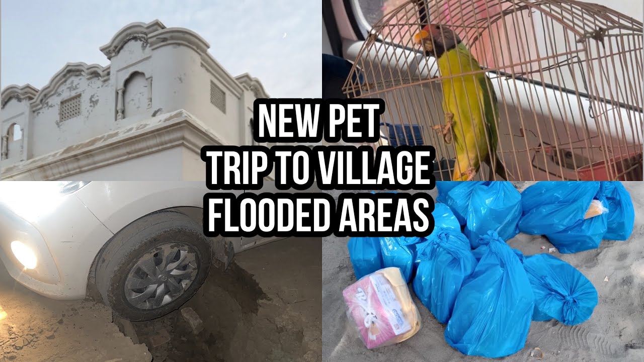 Enroute to Mangrotha | DI Khan to Islamabad Motorway M14 | Taunsa Dg Khan Flood