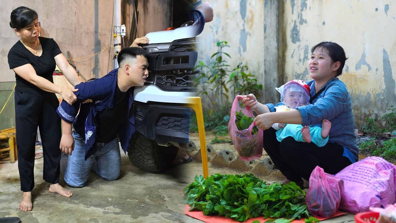 Duong suffers because of Ly - Harvesting green vegetables on the rocky mountain to sell | Cooking