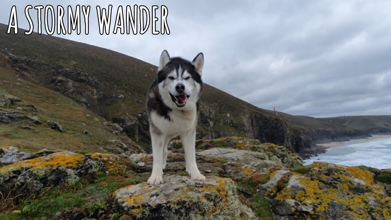 A Stormy Wander with Sherpa is always the Best