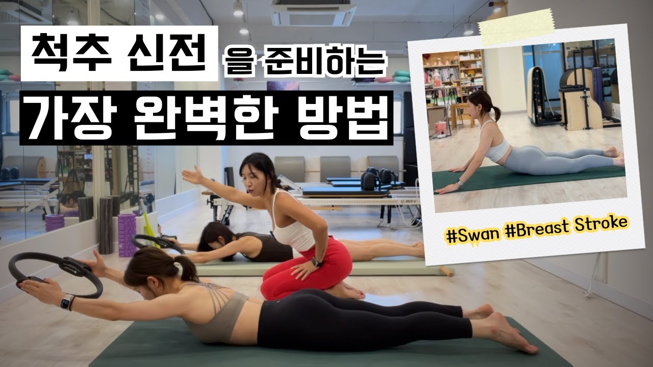 척추 신전 필수 상식 (완벽한 Swan, Breast Stroke 준비)