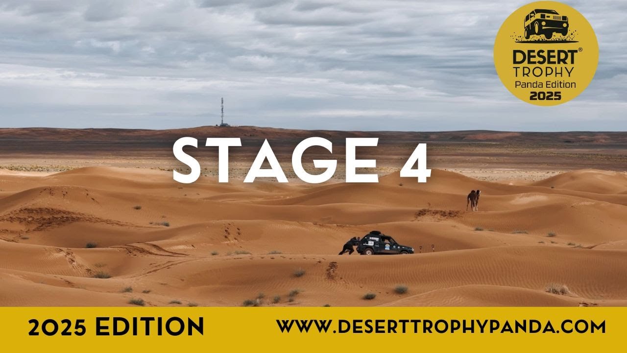 2025 - Edition - Stage 4 - Arfoud / Merzouga / Arfoud  - Video Summary