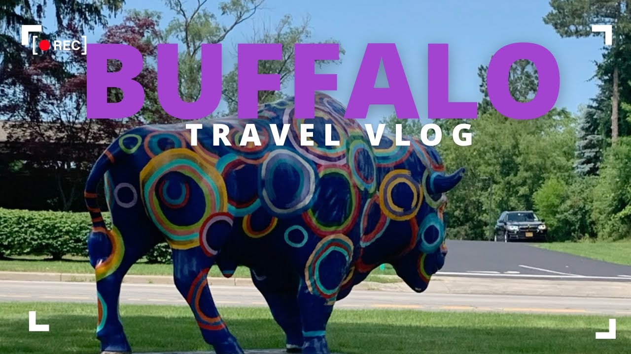 Trip To Buffalo - Travel Vlog