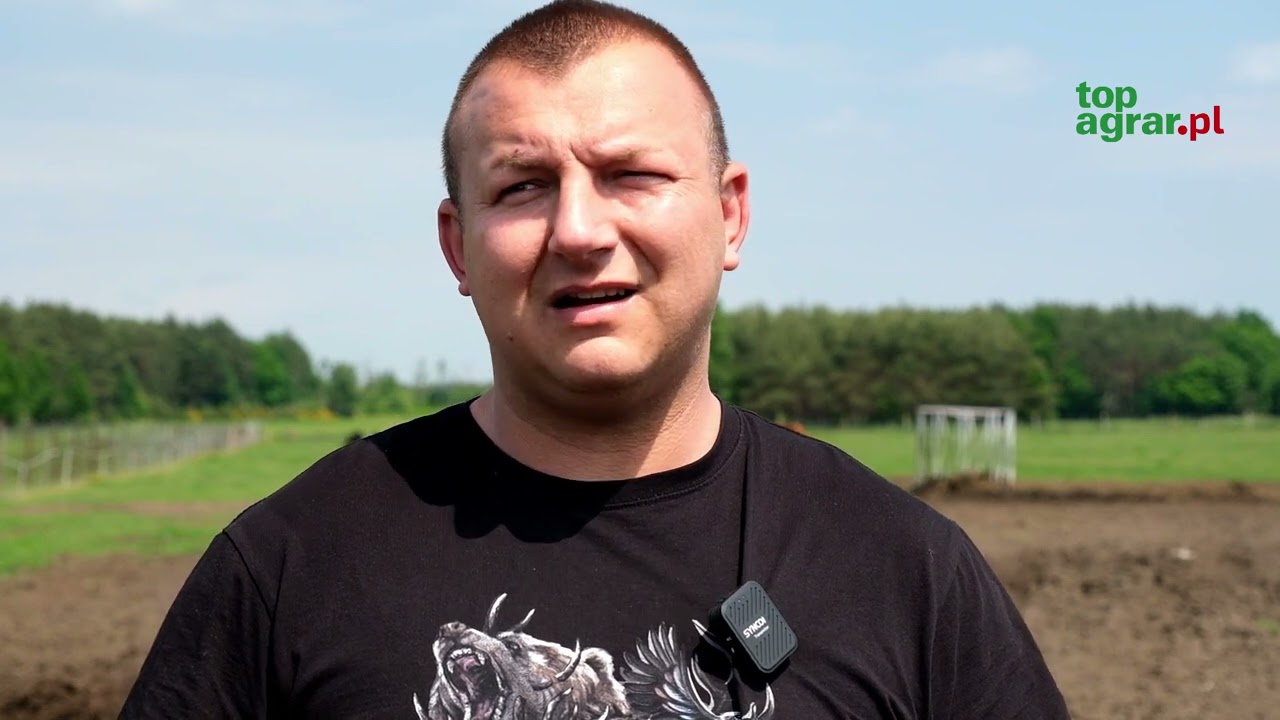 Simental mięsny, limousine i angus. Co się teraz opłaca?