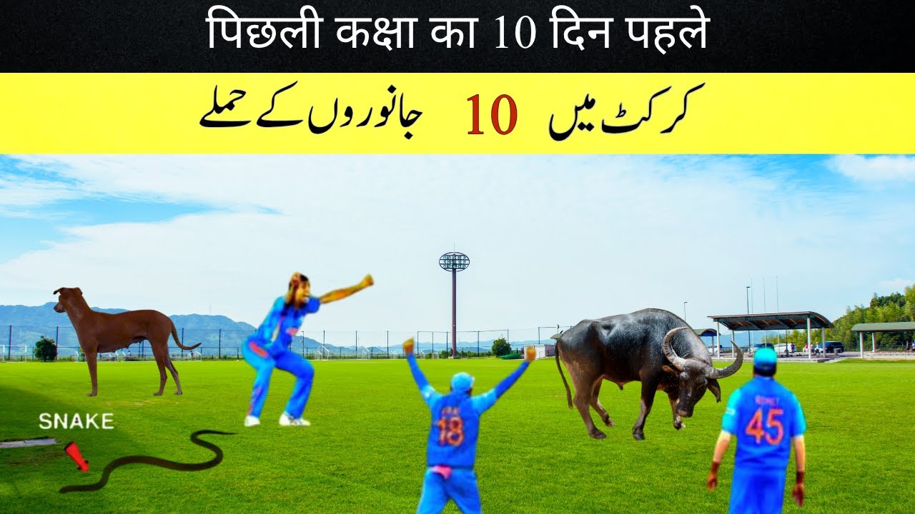 Top 10 Animals Attack of cricket Ground |Cricket life क्रिकेट मैदान पर हमला करने वाले शीर्ष 10 जानवर