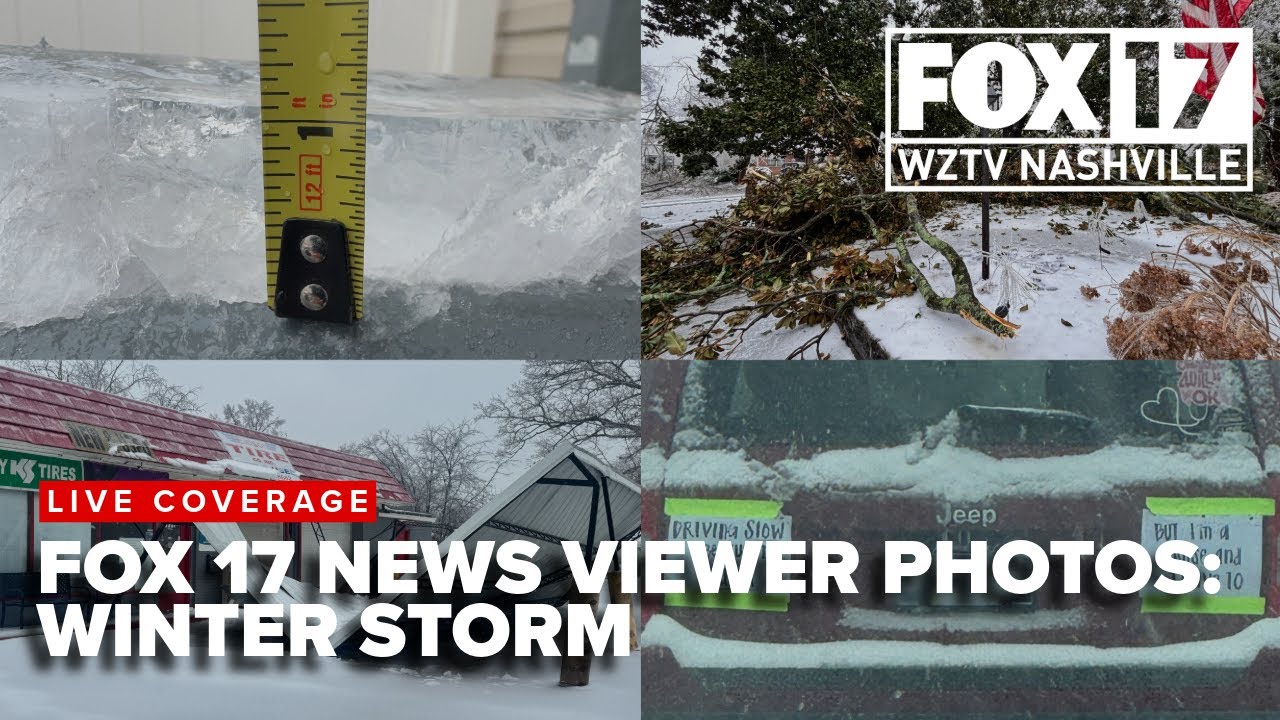 Downed trees, snow and more! FOX 17 Winter Storm Viewer Photos
