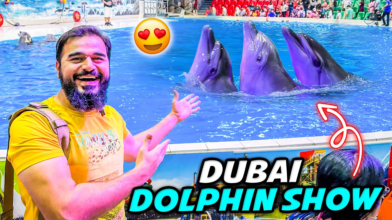 Dolphins ne kamal kardia 😍🐬 sab heran hogae