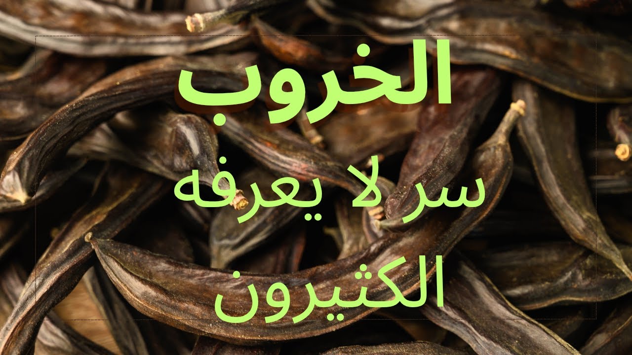الخروب… كنز صحي مذهل! فوائد مذهلة وأضرار يجب الحذر منها | فوائد الخروب وأضراره بالتفصيل