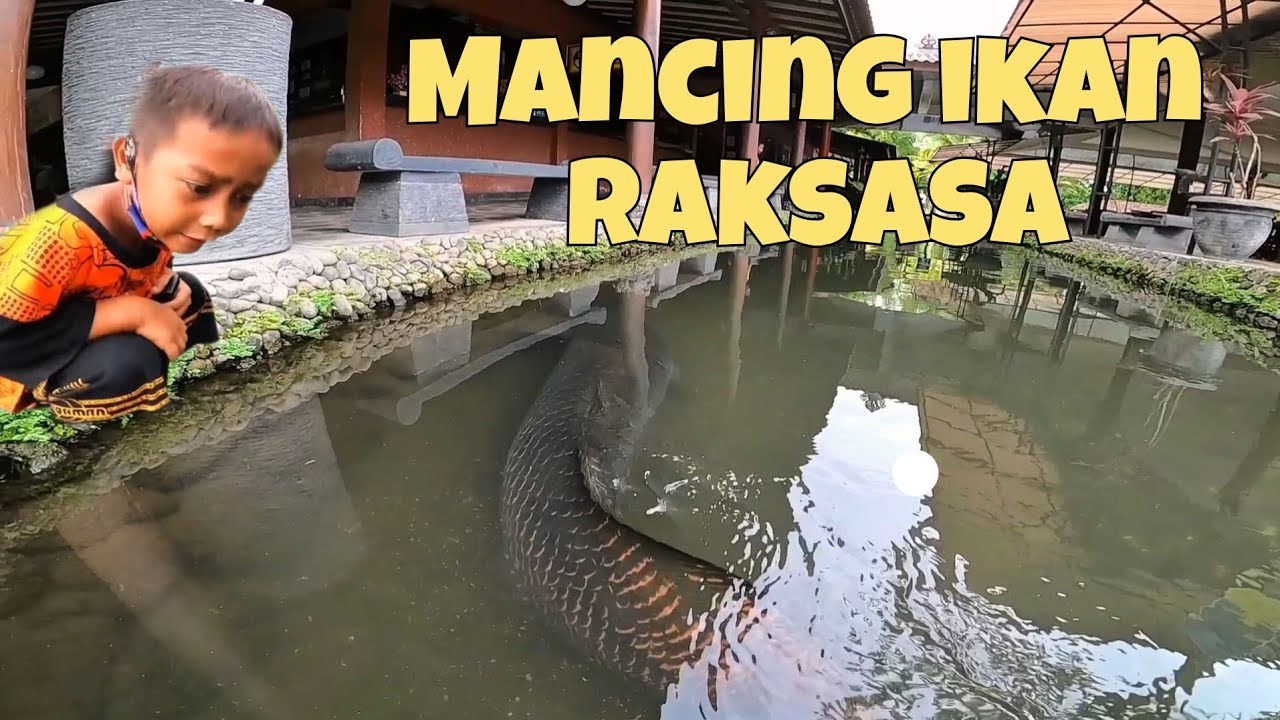 Ketika Bocil Mancing Ikan Besar