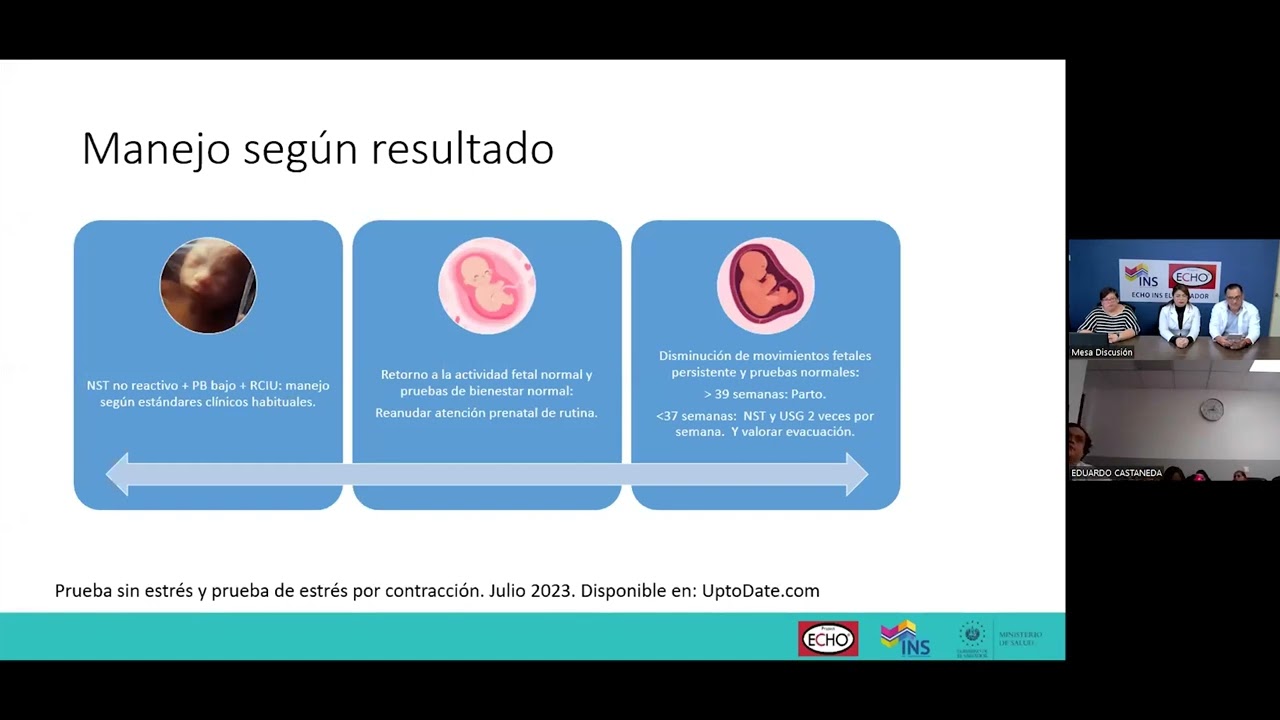 Pruebas de Bienestar Fetal