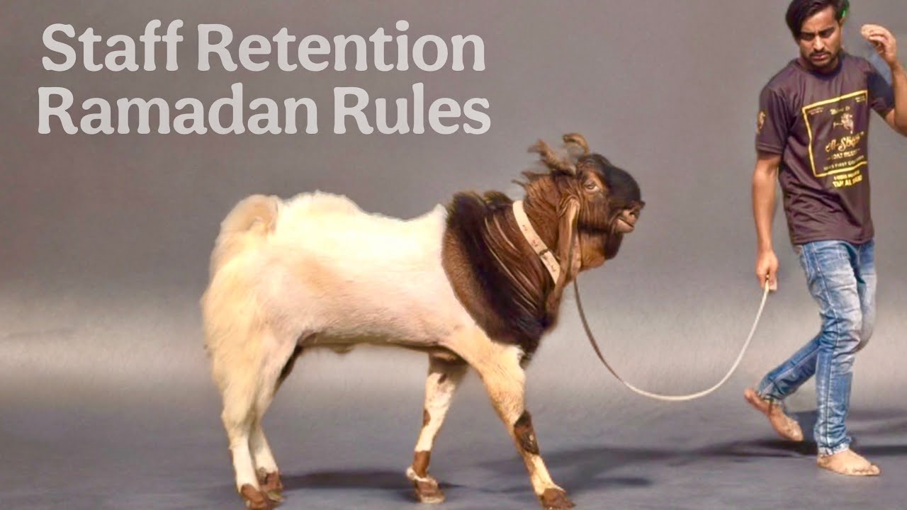 Shahbaz Bhai (Dubai) Ka Bakra & Ramdan Guidelines at Al Shaikh Goat Resort, Mahapoli
