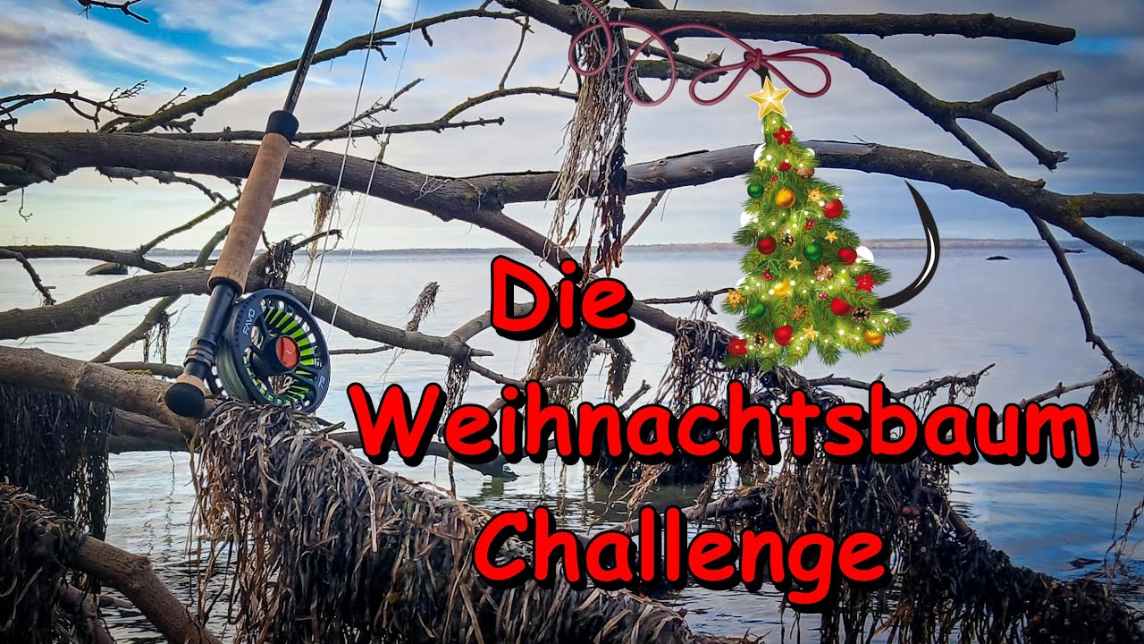 Fliegenfischen in MV - Die Weihnachtsbaum Challenge