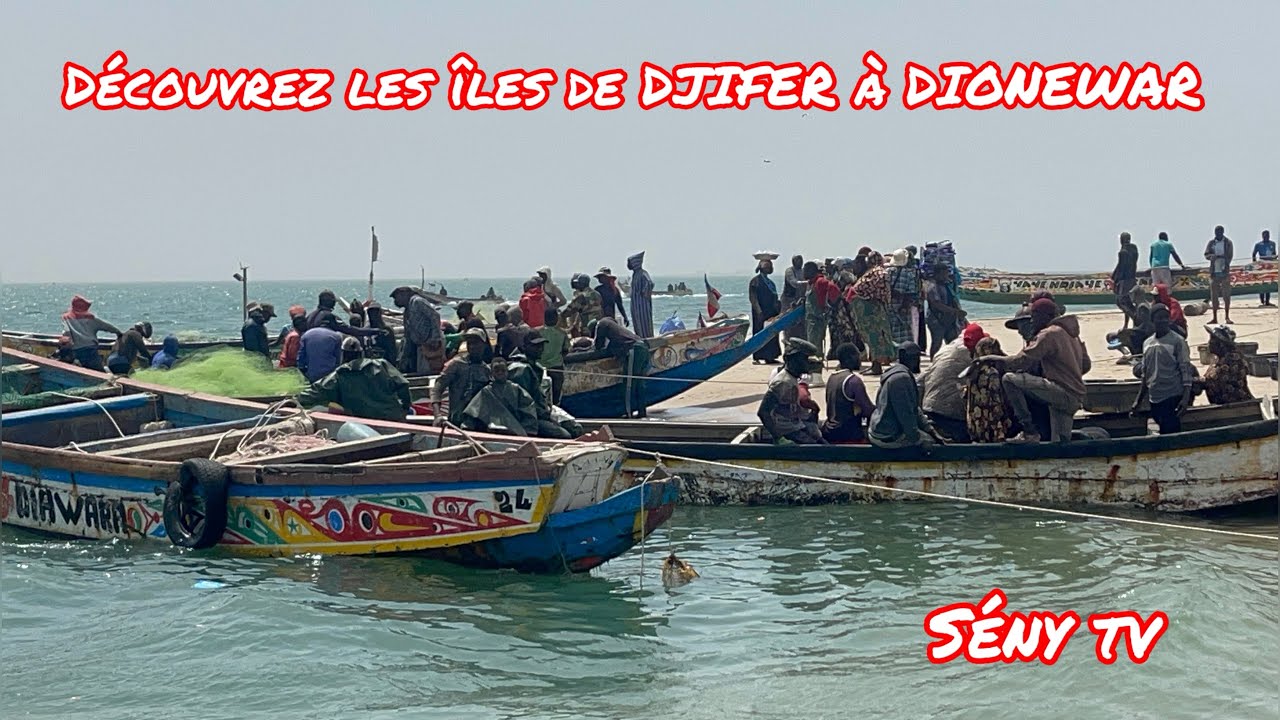 Découvrez les îles du Saloum de DJIFER à DIONEWAR le 27 février 2025