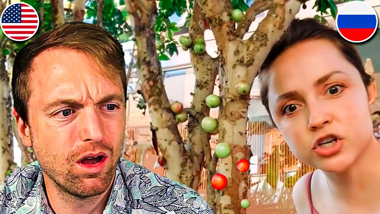 AMERICANO E RUSSA TENTAM ENTENDER O BRASIL | GRINGO REAGE A OLGA DO BRASIL