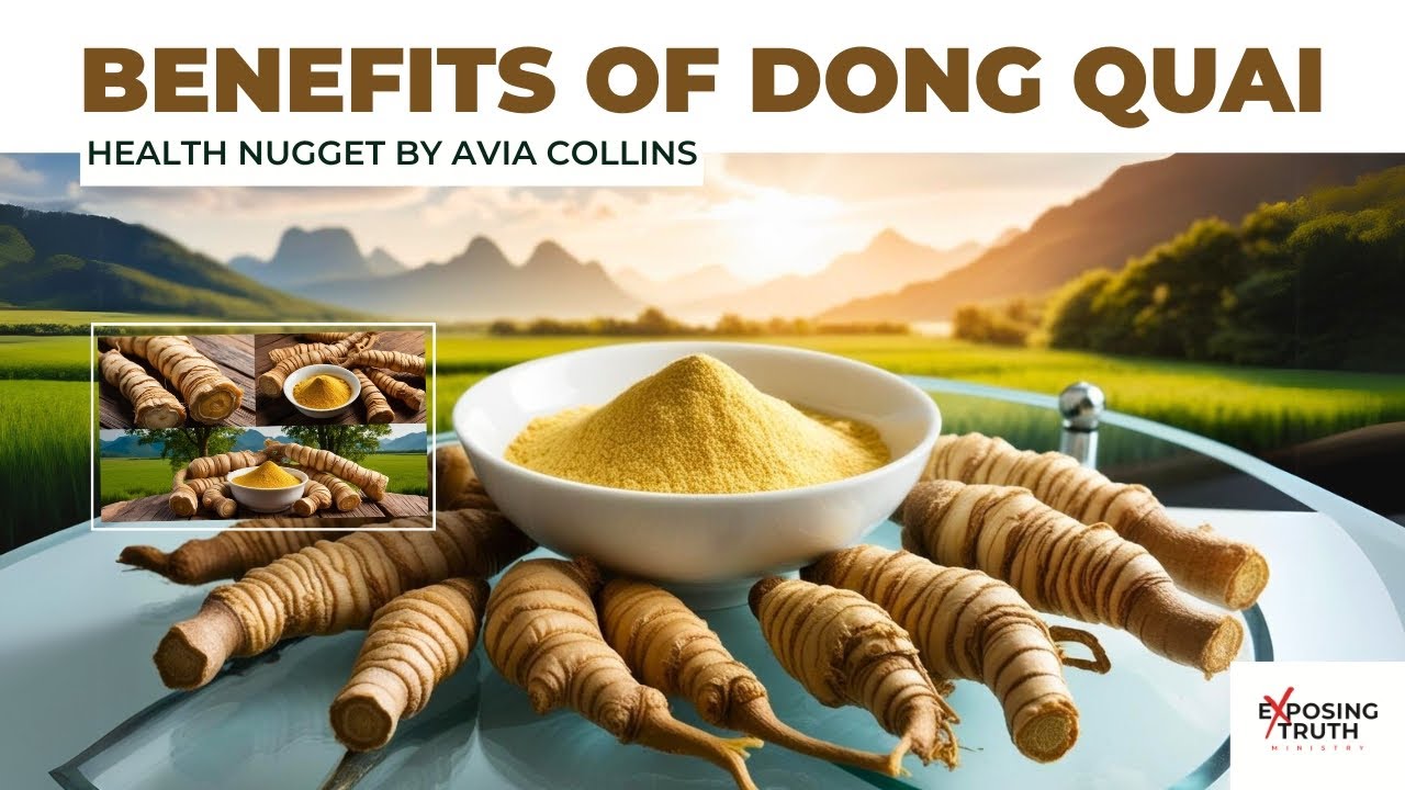 Dong Quai: Benefits, Uses, and Side Effects | Health Nugget by Avia Collins