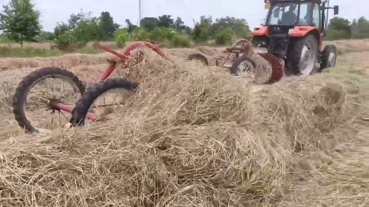 Fienagione 2024 - Andanatura Loietto con Kubota e doppio BCS a pettine