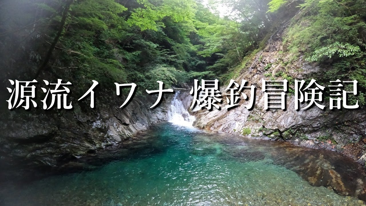 【源流冒険記】源流イワナを求め、未知の領域へ…【渓流釣り】