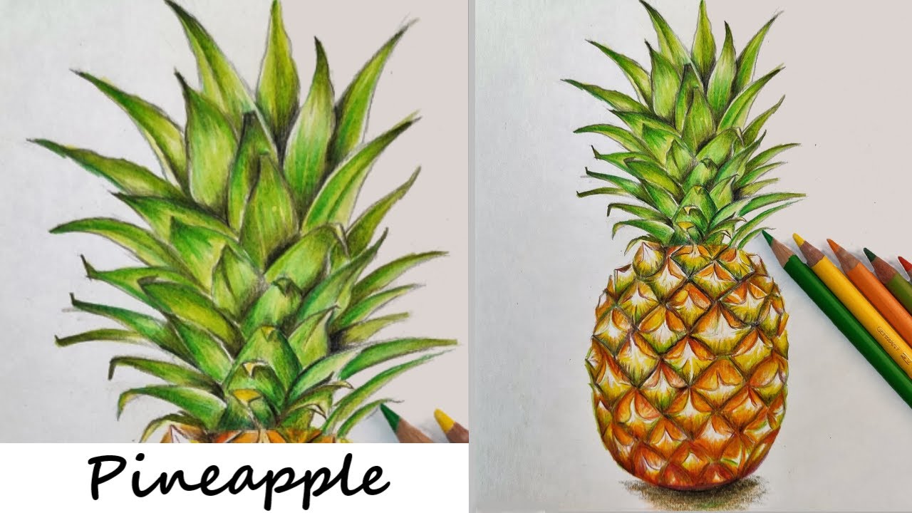 How to Draw a Pineapple || Using Colour Pencils ll Colour Pencil drawing