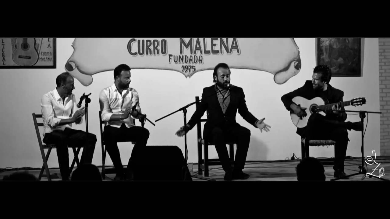 José Canela por Bulerías, Aguilar de la Frontera 2016