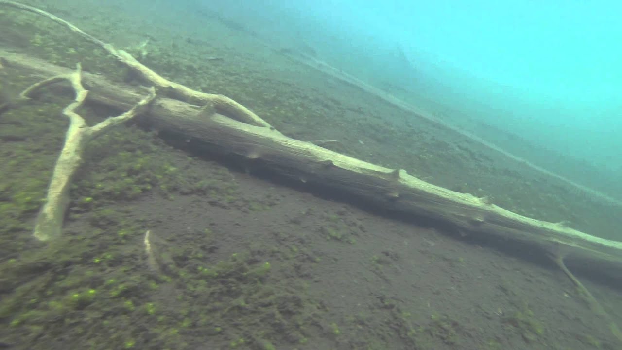 Scuba diving in lake Kaitajärvi, Tammela Finland.