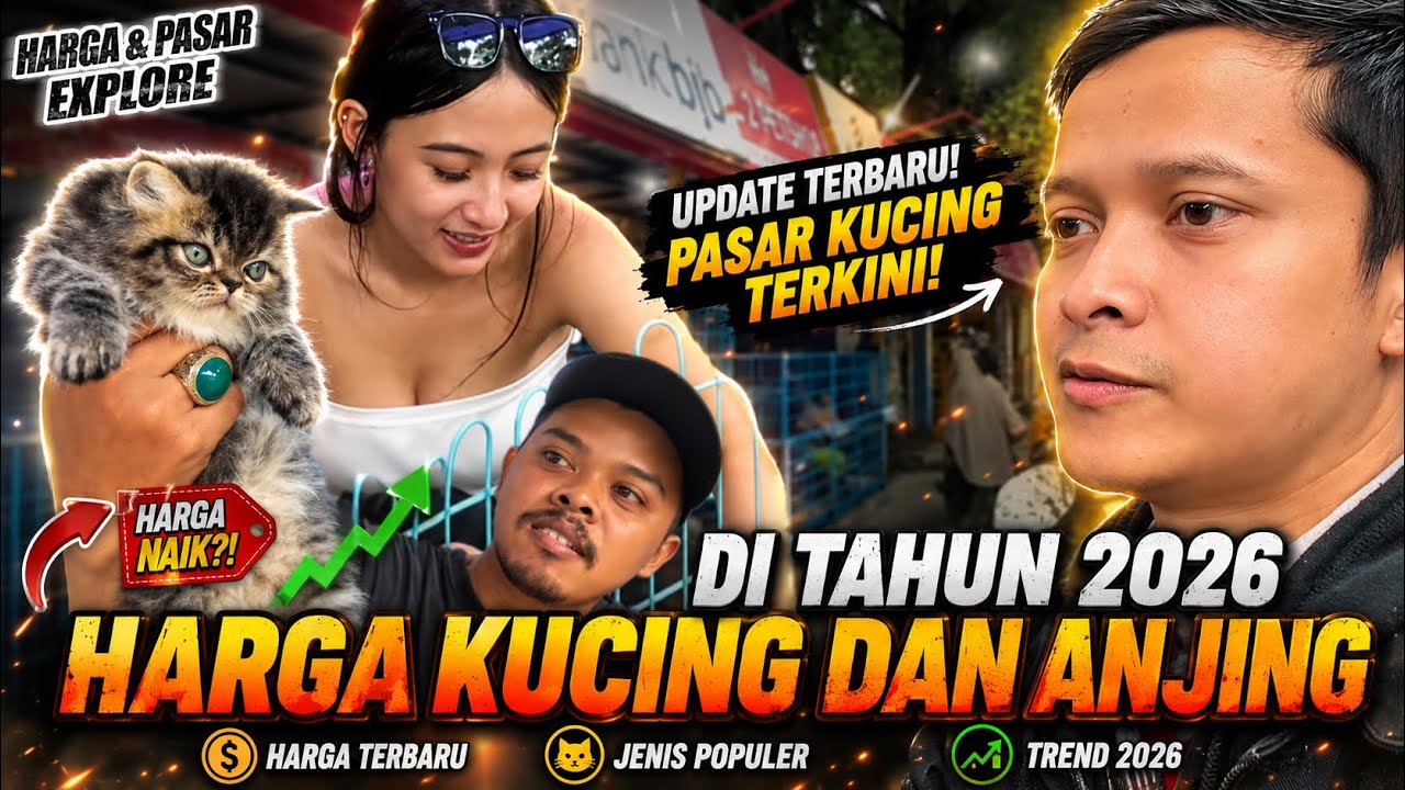 Explore tempat adopsi kucing dan anjing di bandung | jln dr otten rajiman bandung