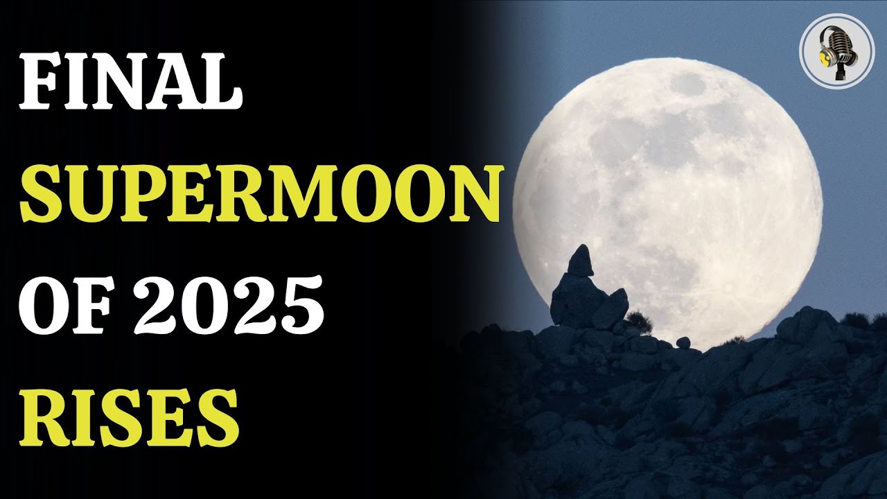 Why the Cold Moon 2025 Will Be the Brightest Winter Moon of the Year | WION Podcast