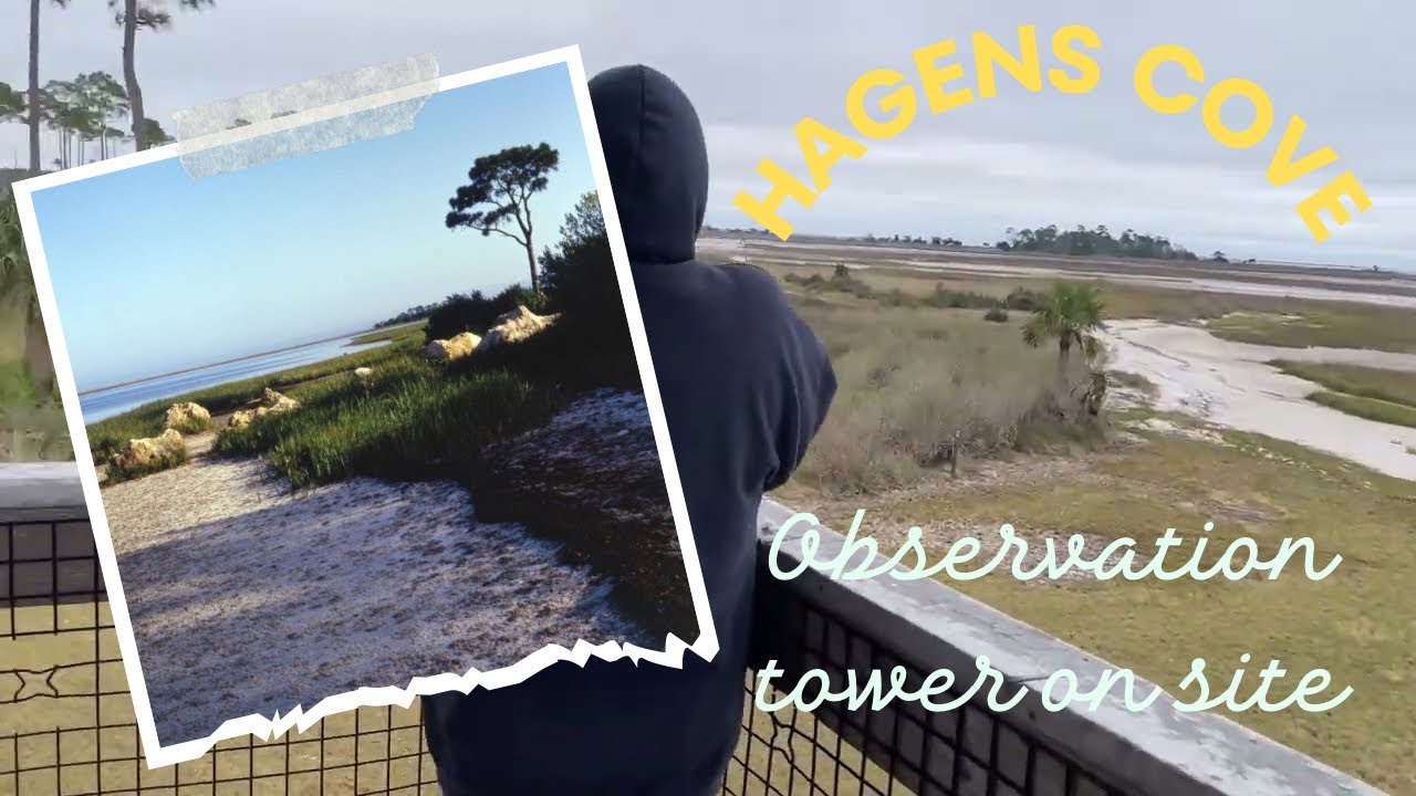 Exploring Hagens Cove coastal park in Taylor County Florida