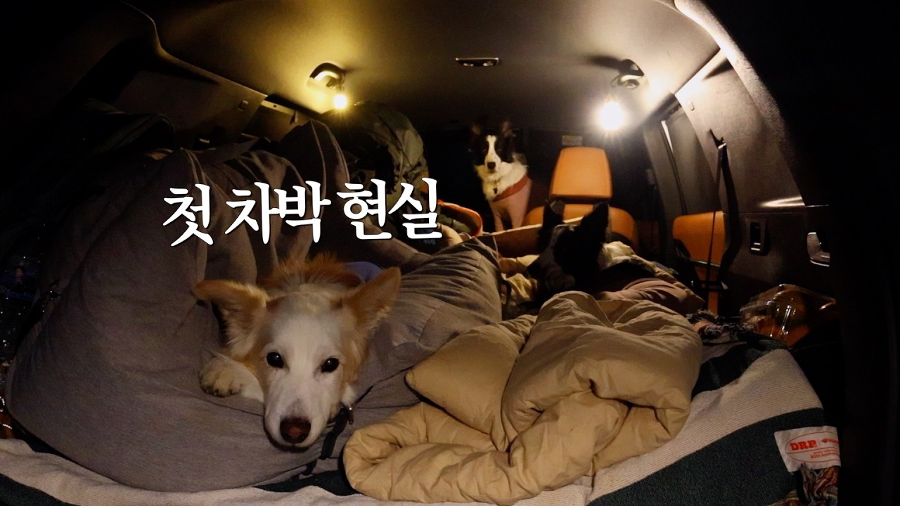 인생 첫 솔로 차박을 제주에서 하게 될 줄이야