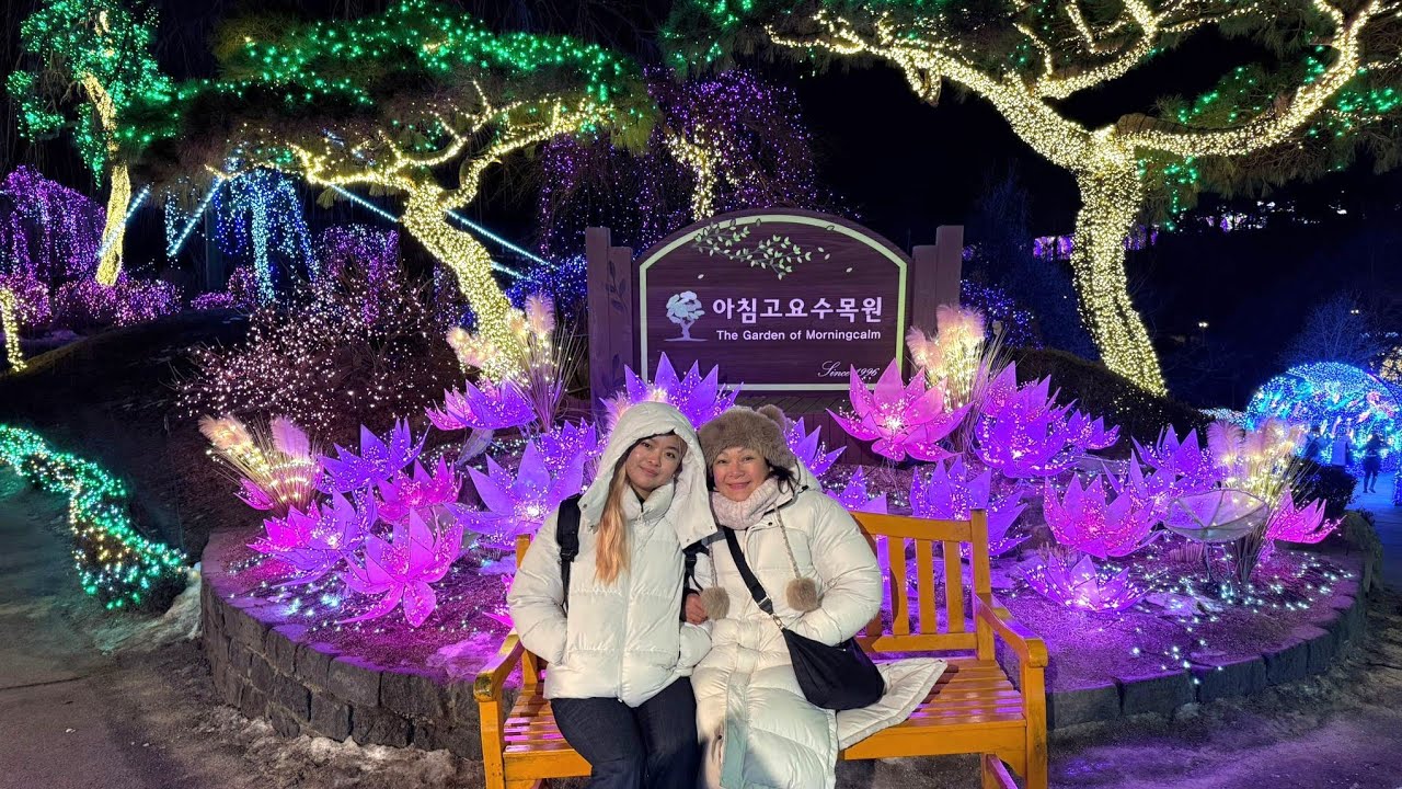 Eobi Ice Valley, Nami Island, Gangchon Rail Park, Garden of Morning calm, Myeongdong night market