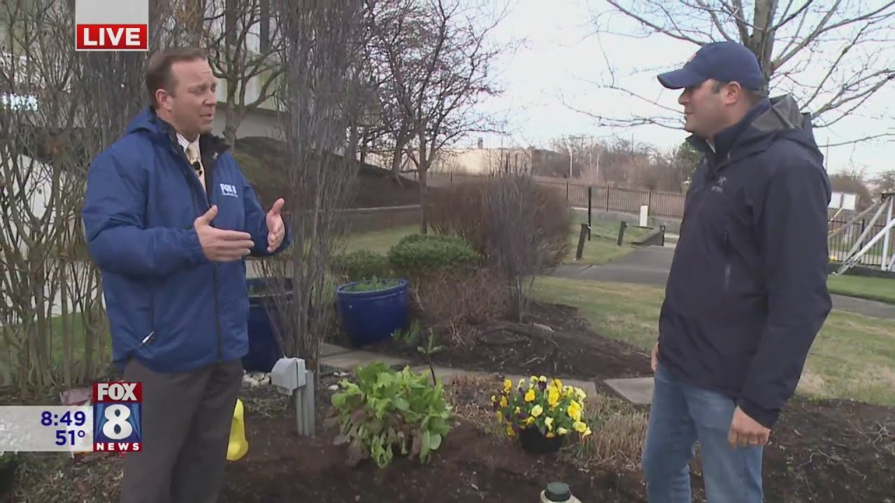 Time to Spring clean the yard & wake up the lawn