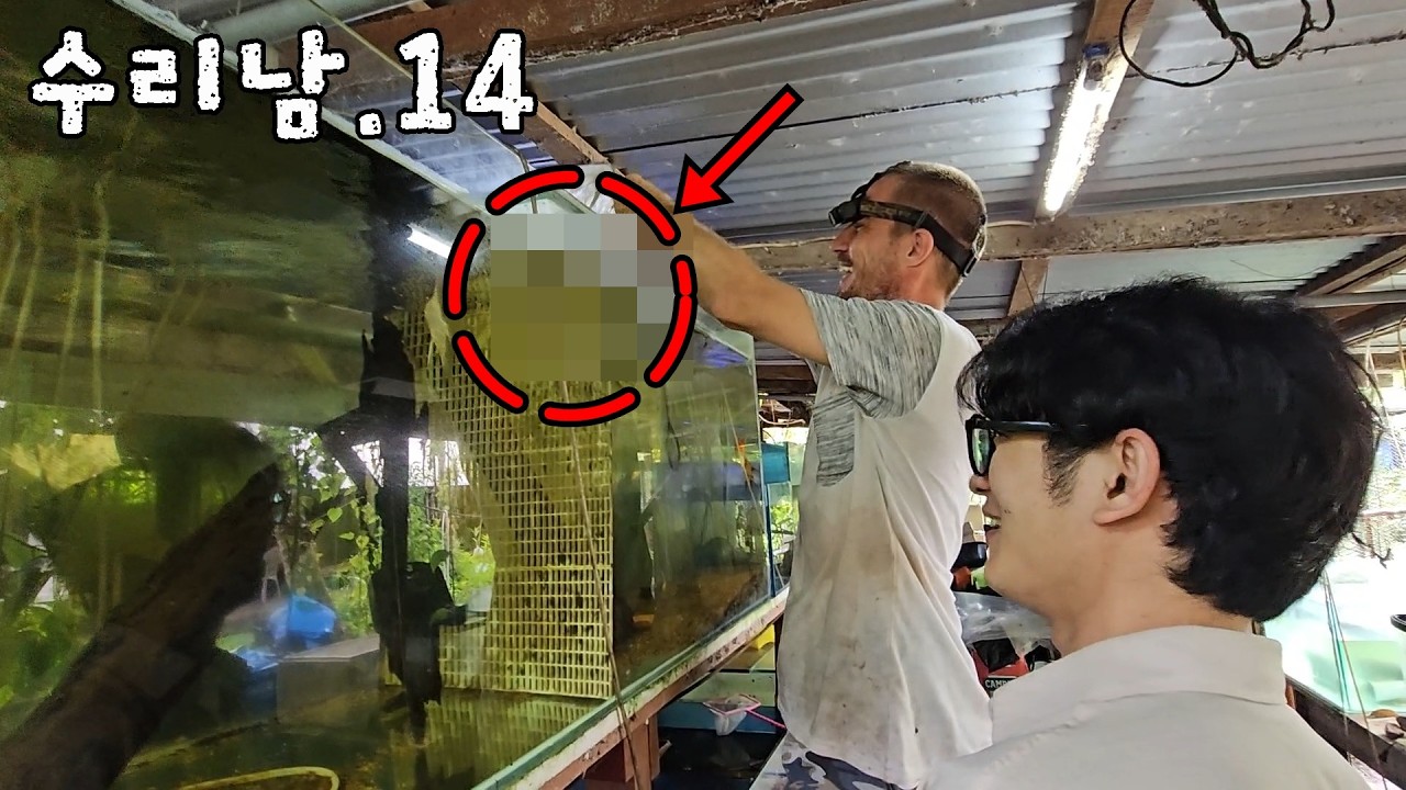 평생 못볼 희귀종들이 득실득실 이건 괴물아닌가요..ㄷㄷ