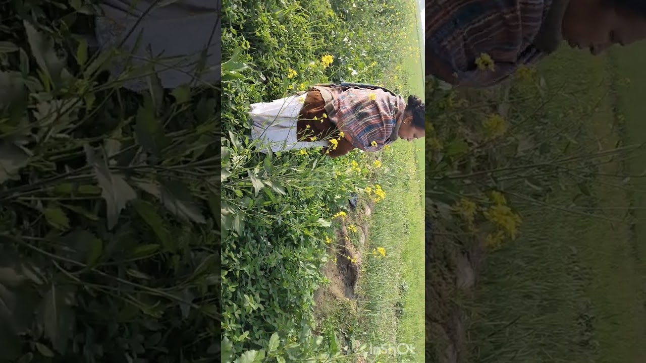 #Pind da saag#pind di saajh