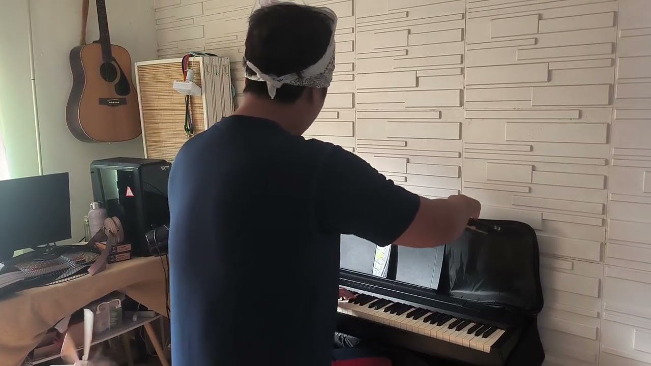 Versace violin cover