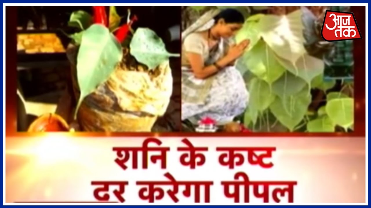 Dharm: Shani Ke Kasht Dur Karega Peepal