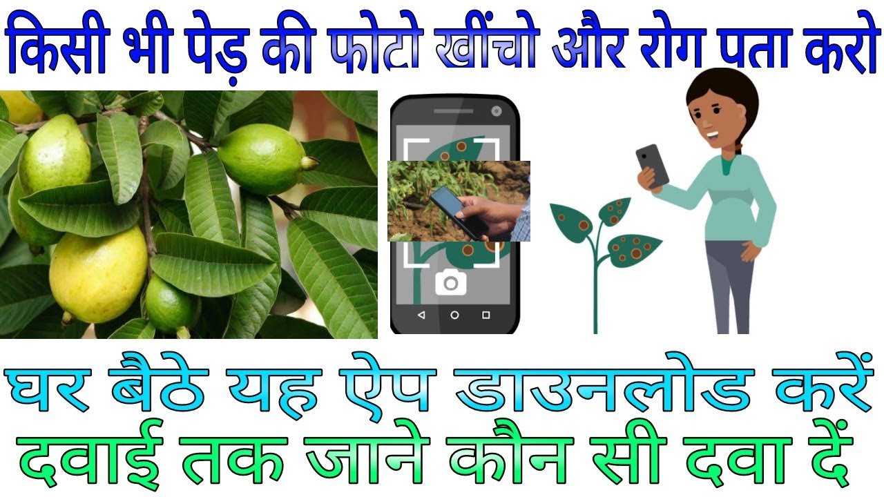Plantix app kisan help best application