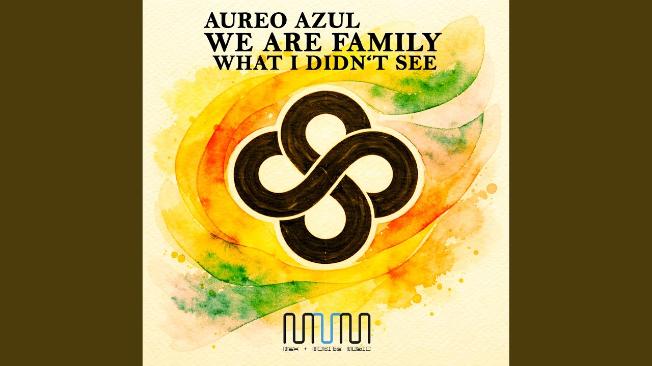 What I Didn't See - Czech Version