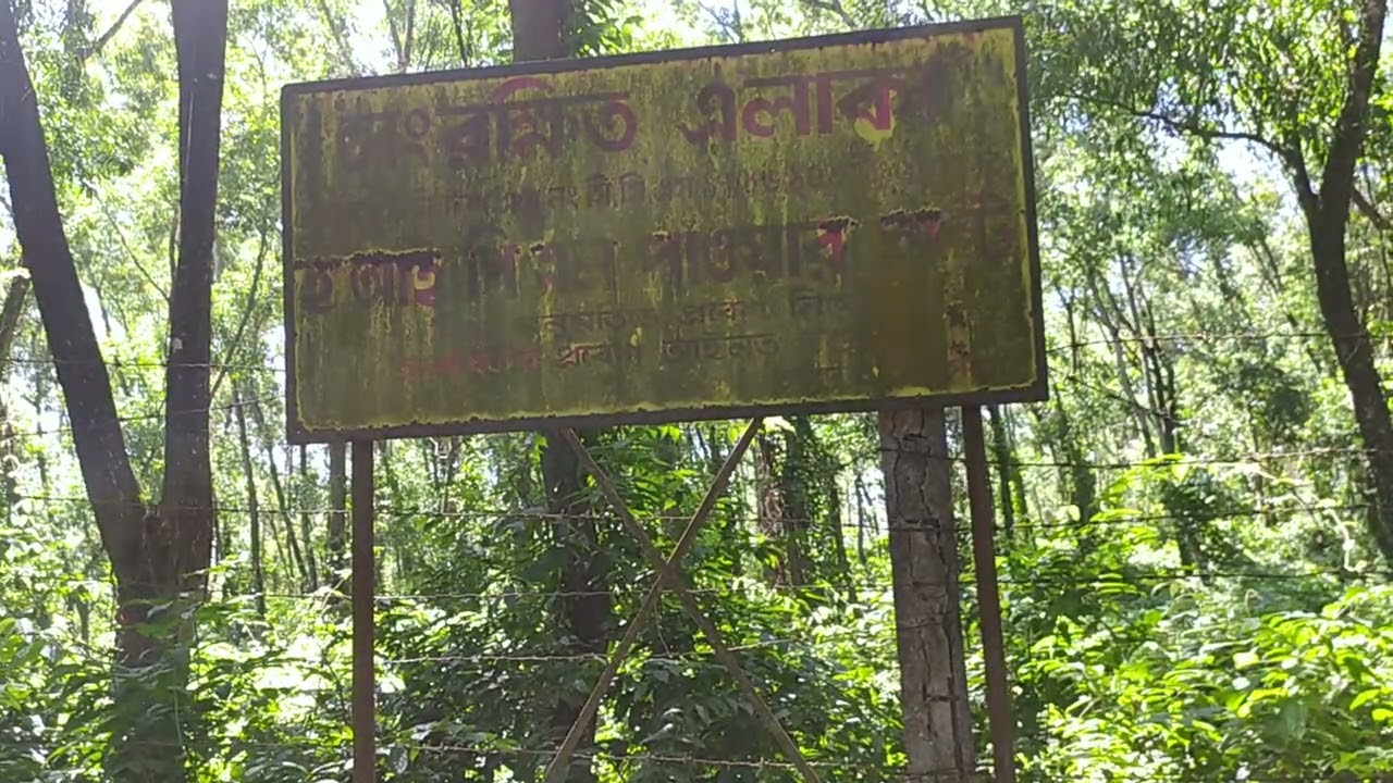 Abandoned power plant. Visit. Under district of Cachar Assam.