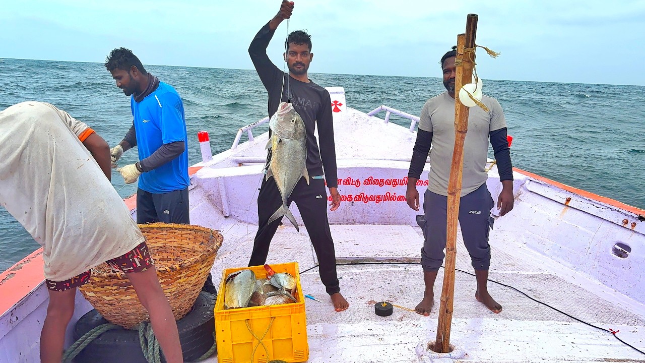 Ohh❗Indian Fishing Adventure 💢 Deep Sea Fishing 