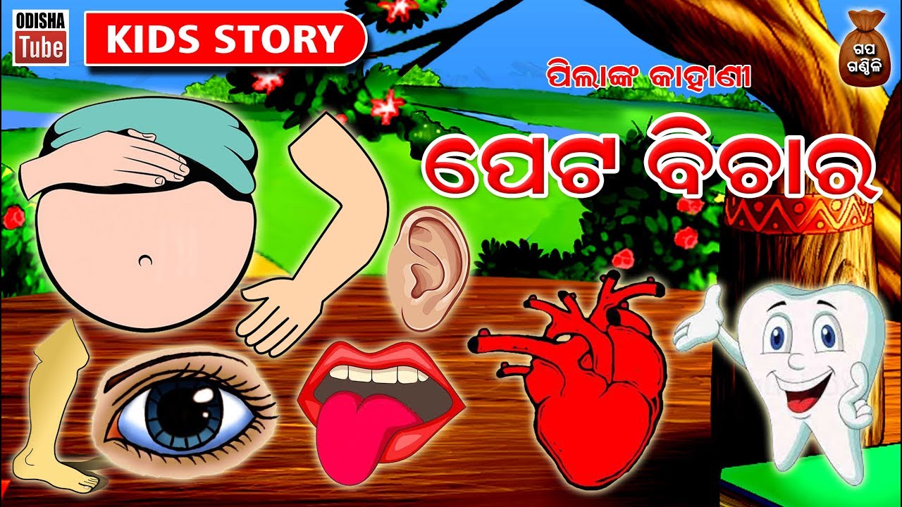 Odia Children Story | ପେଟ ବିଚାର | Educational Video | Odisha Tube