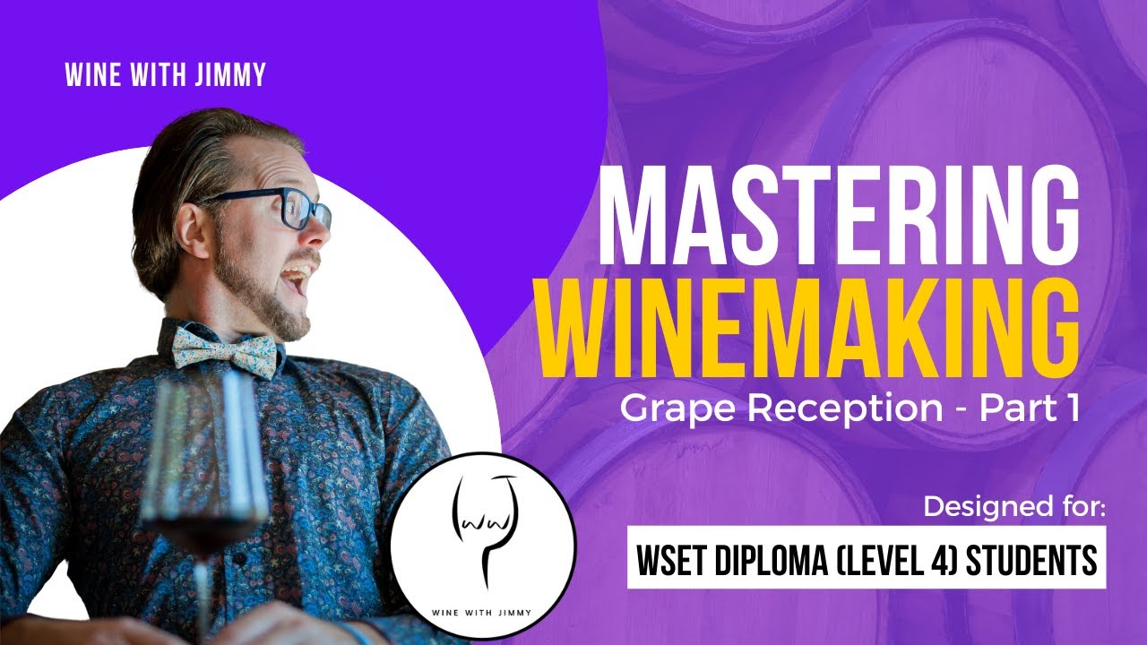 WSET Level 4 (WSET Diploma) Mastering Grape Reception Part 1 Sorting and Chilling