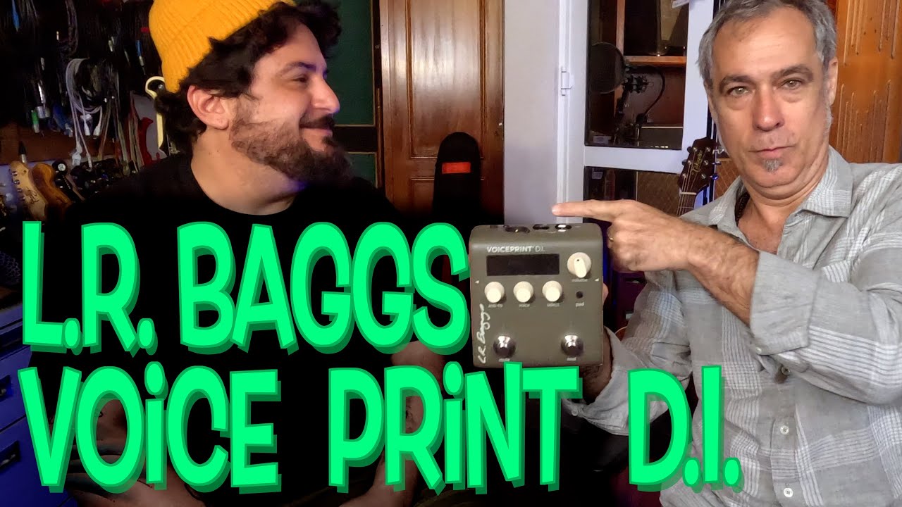 L.R. Baggs Voice Print DI