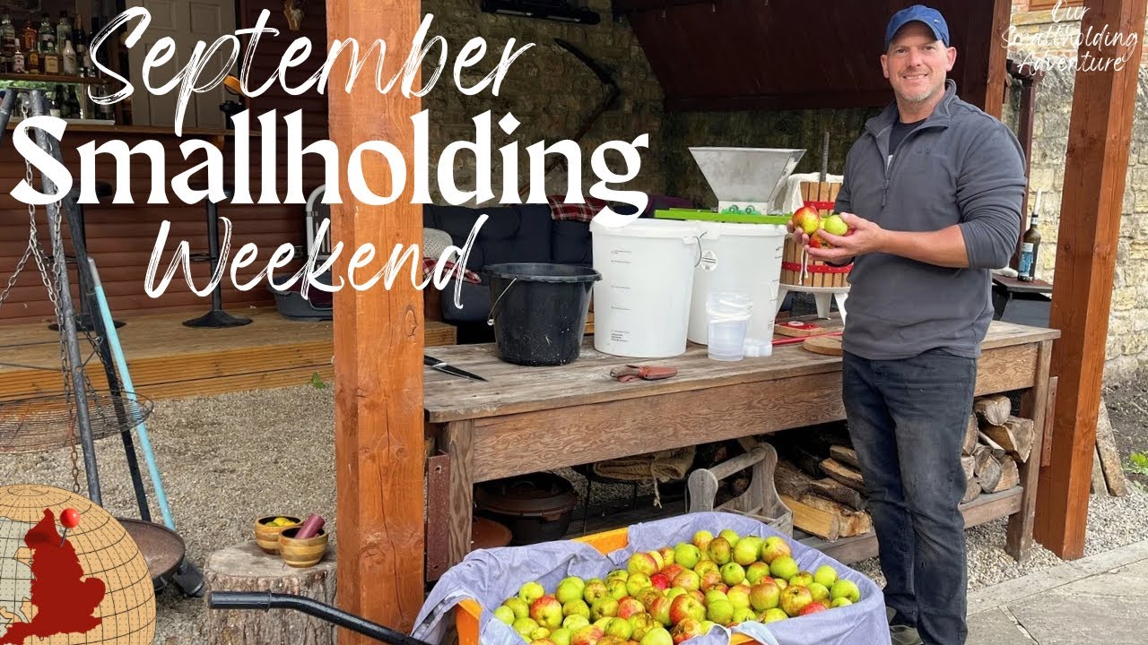 Life on a UK Smallholding | September's Harvests, Pigs and Campfires