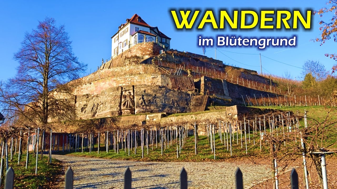 Frostige Weinberg-Wanderung im Naumburger Blütengrund