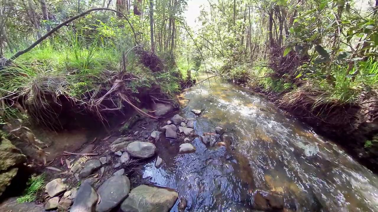 Tidbinbilla Nature Reserve, Canberra.